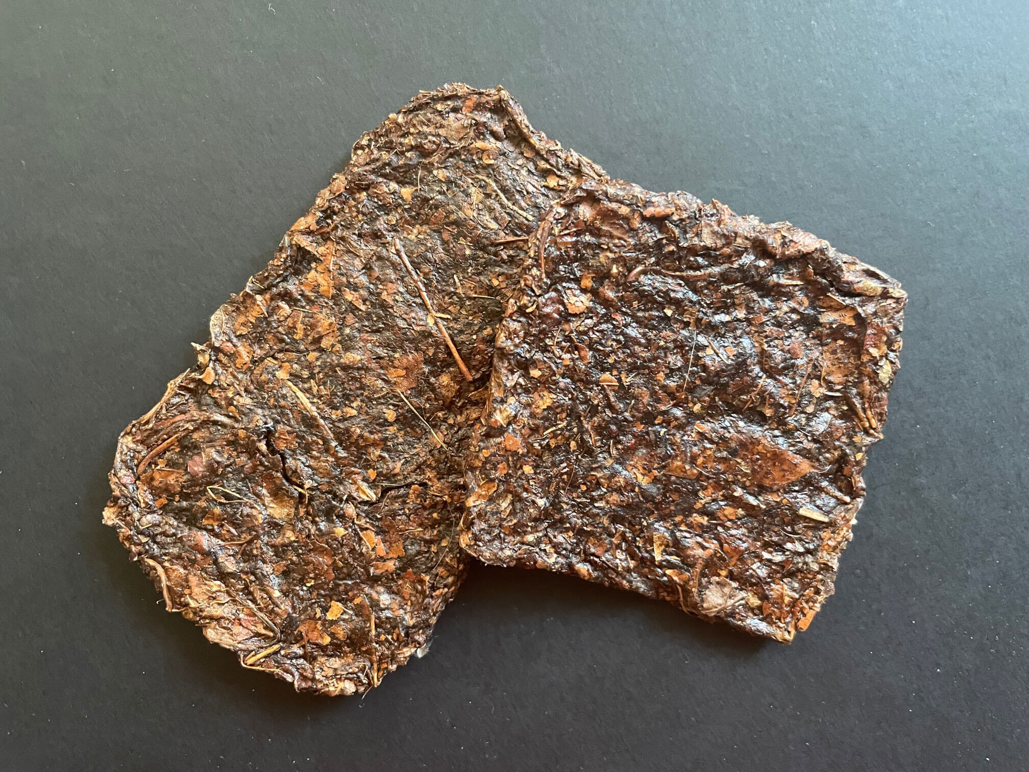LEAFLEATHER Experiment von Emilie Paeth.