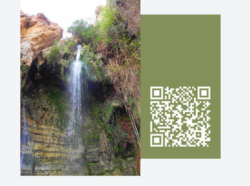 Foto Prof. Dr. Kathrin Rothenberg-Elder: En Gedi – Oase im Südbezirk Israels, QR Code zum Video