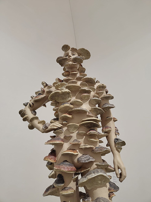 Skurril: Eine menschliche Figur ist mit Pilzen übersäht.