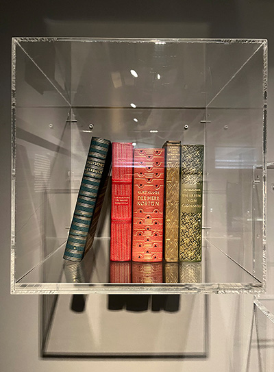 Alte Bücher in Ledereinschlägen.