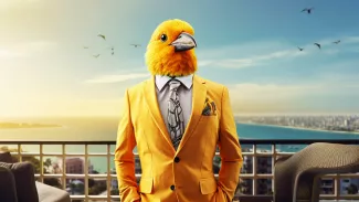 Vogel im Anzug am Abend, vor Meer und Stadtkulisse, ein paar Möwen am Himmel.