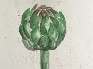 Farbige Zeichnung eine Artischocke