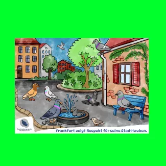 Bunt illustriertes Kinderposter: Tauben trinken, baden und fliegen in einer freundlichen Stadtszene; unten der Slogan „Frankfurt zeigt Respekt für seine Stadttauben.“
