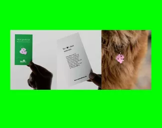 Karten und Hundemarke („& verbindet“)