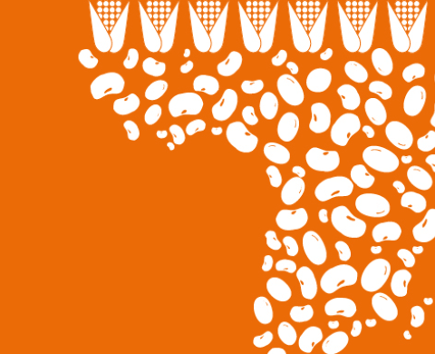 Eine Grafik mit Bohnen und Getreide im Anschnitt. Auf einem orangenen Hintergrund.