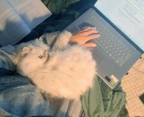 Studentin Katja, die entspannt an einem Schreibtisch sitzt, während ihre Katze Chichi gemütlich auf ihrem Schoß ruht und für eine beruhigende Arbeitsatmosphäre sorgt.