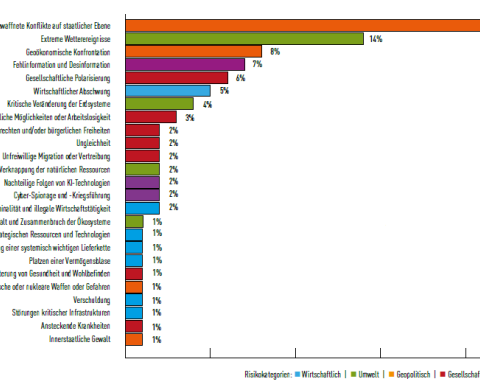 Global risc report 2024