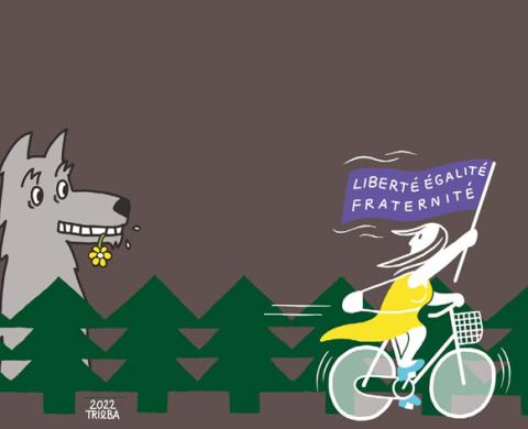 Alles gleich? Illustration ©Anne Trieba