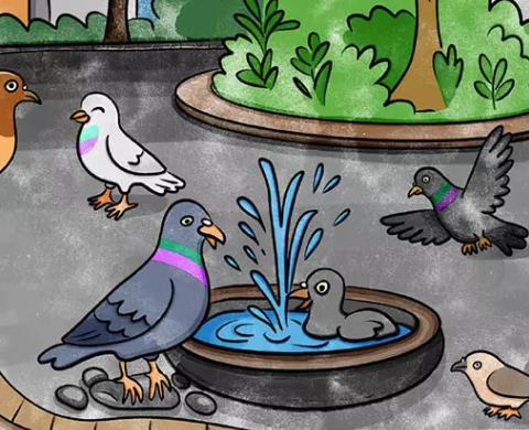 Illustration mehrerer Stadttauben an einer Vogeltränke in einem Park; eine Taube badet im Wasser.