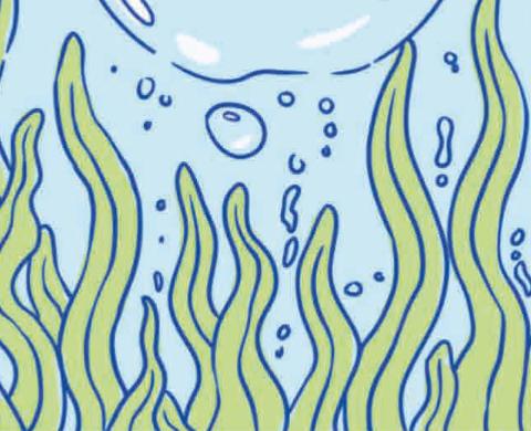 Vorschaubild für das Social Design Projekt mit dem Salzwasserverein